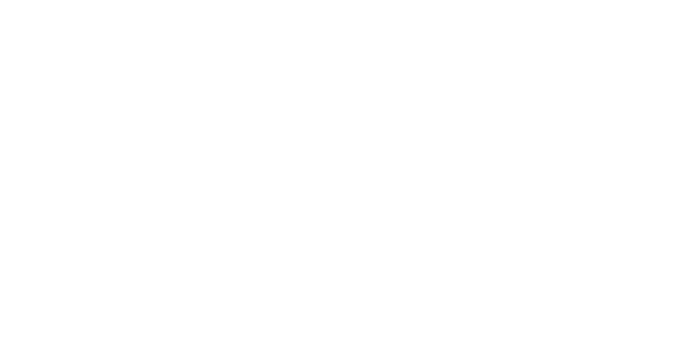 BLS Trucking Inc.